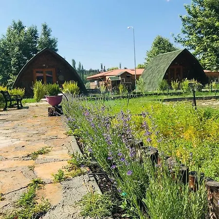 Zeyve Lavanta Tatilköyü Bungalov Evler
